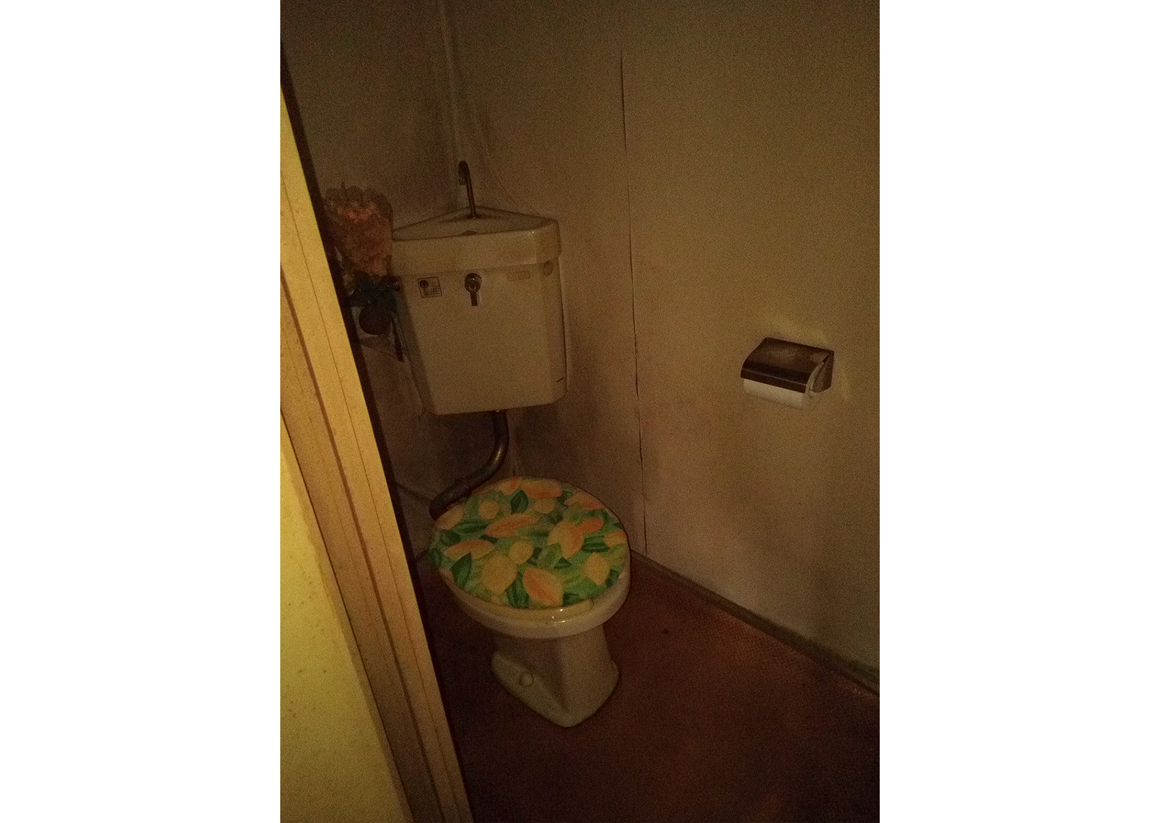 before_リノベーション前のトイレ