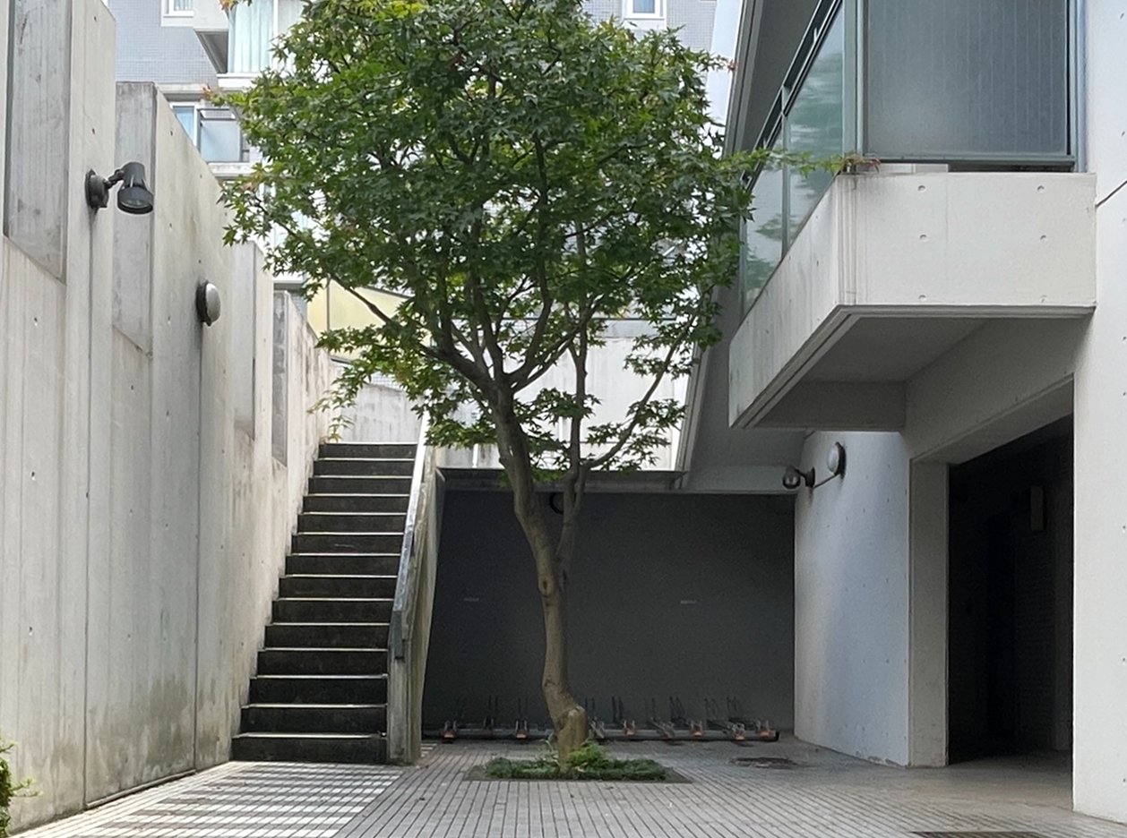 リノベーション前の中庭