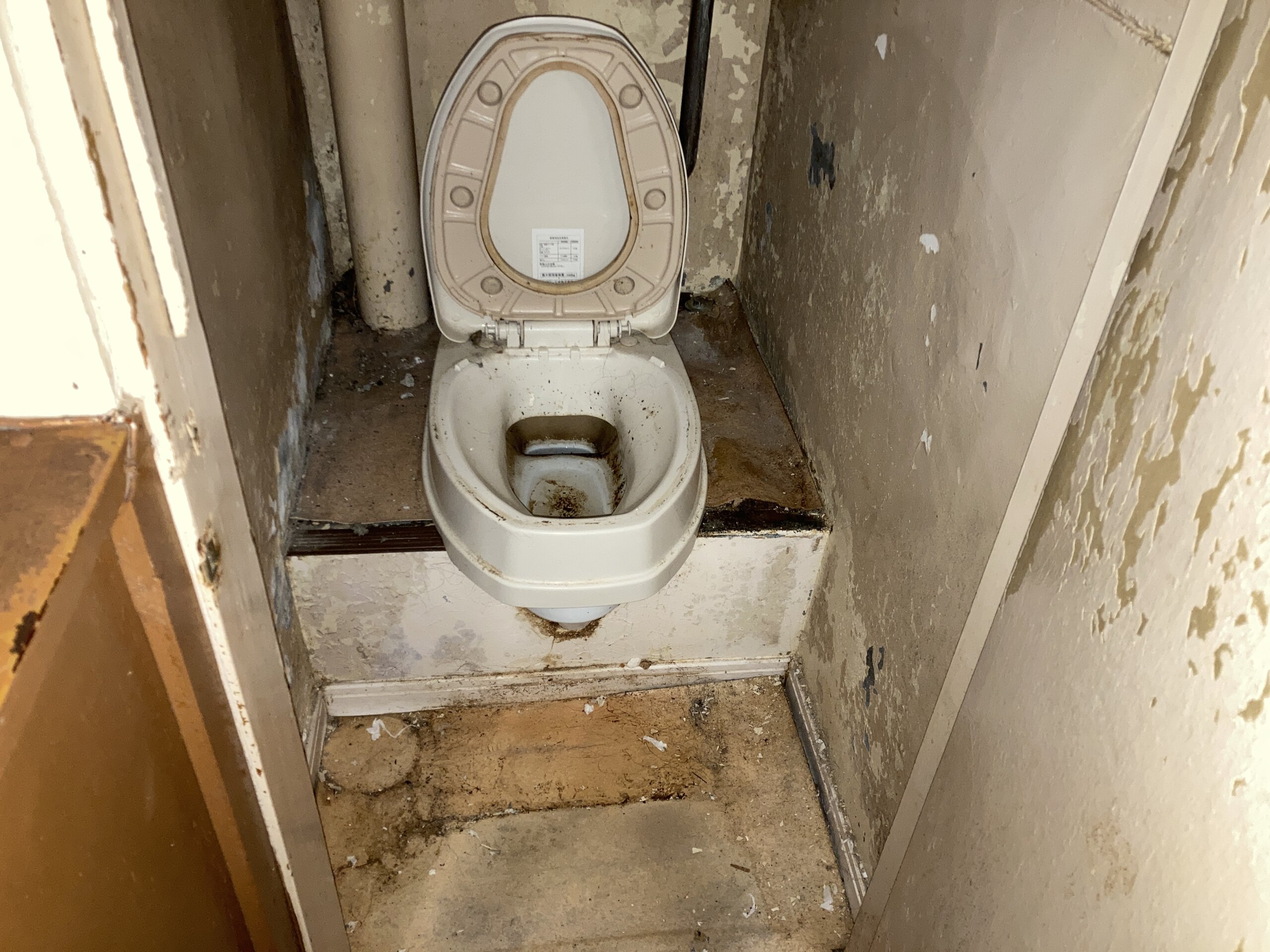 リノベーション前のトイレ